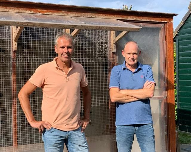 Pigeon Bids Falckenborg-Nijhof