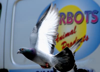 Analyse Argenton 26-08-2023