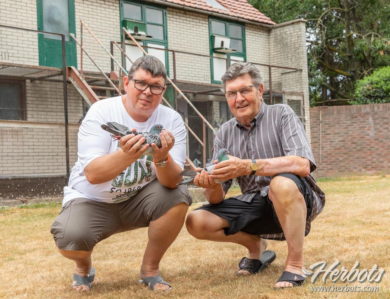 Bert Martens and Son from Elsloo put down a nice series in the middle distance