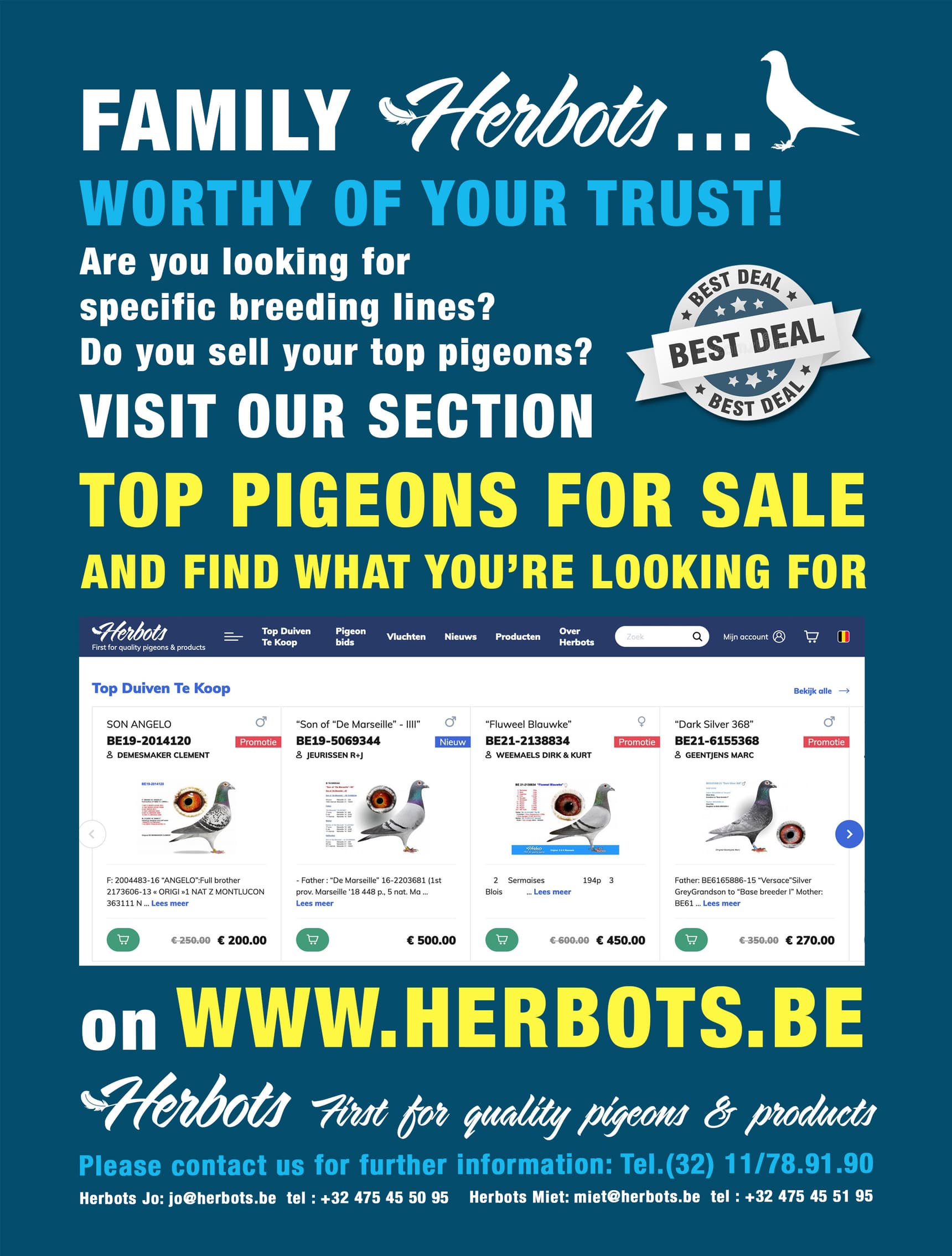 Visit our section TOP PIGEONS FOR SALE