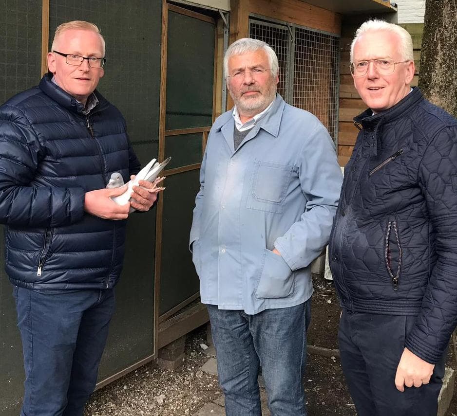 ‘Brieftauben-Zumdiek’ are the owners of the most impressive ‘Van den Bulck’ collection