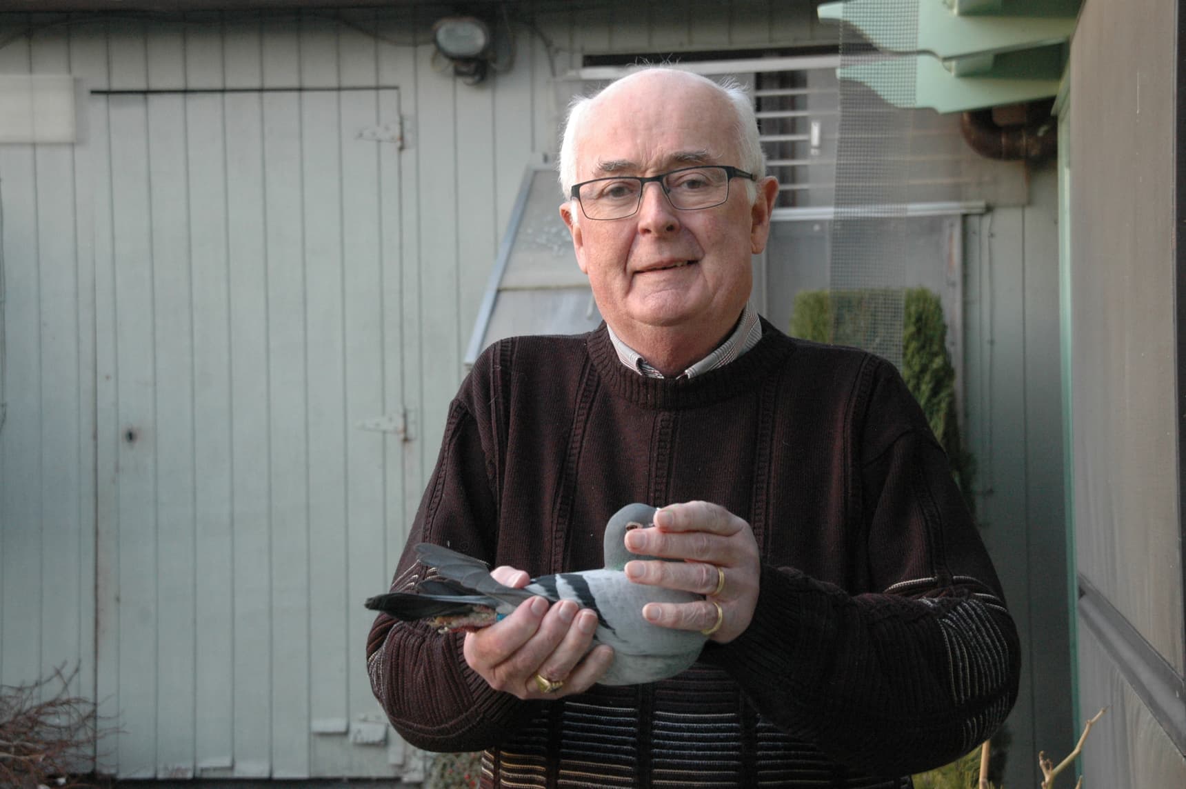 安德烈.阿勒梅斯网络限时拍卖会-第三场