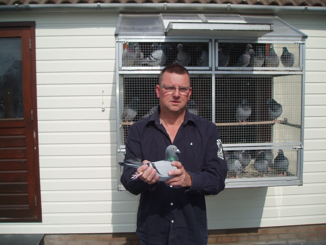 Pigeon Bids Schroevers Cees