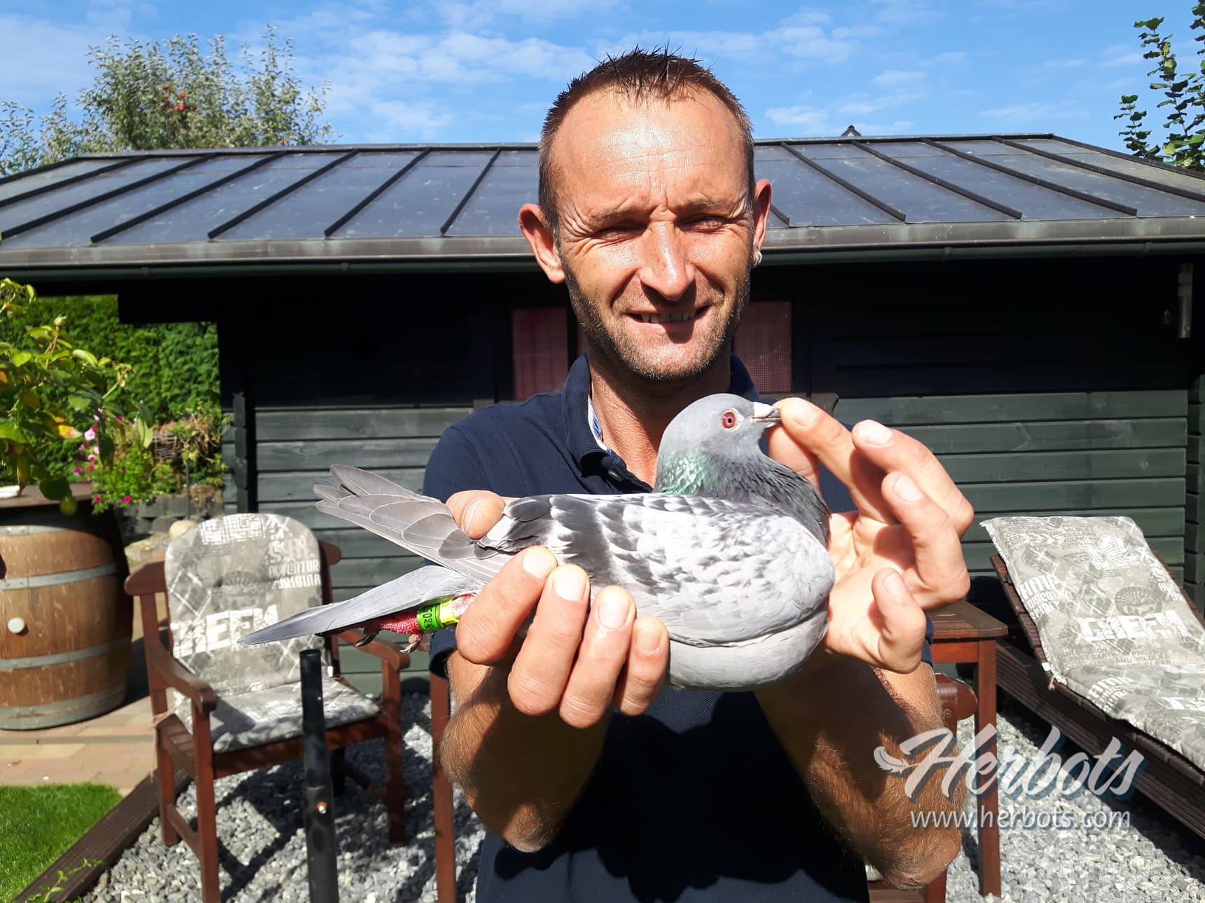 Pigeon Bids Elkemann Josef & Frank