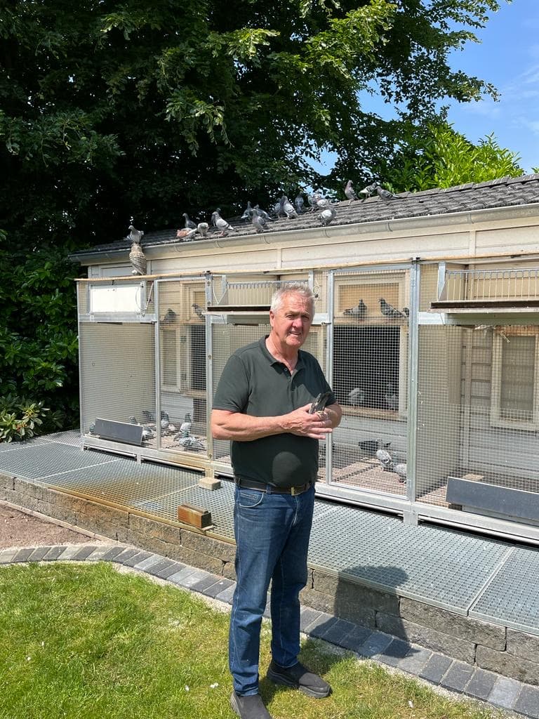 Pigeon Bids "Team Patagoon Zuid" - the best Willem de Bruijn loft world-wide.