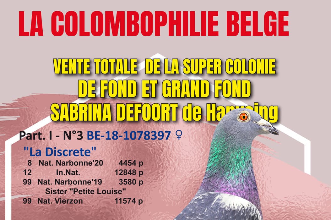 Public Auction: Sabrina Defoort - PART 1