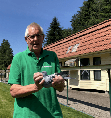 Pigeon Bids Van Elsacker - Jepsen