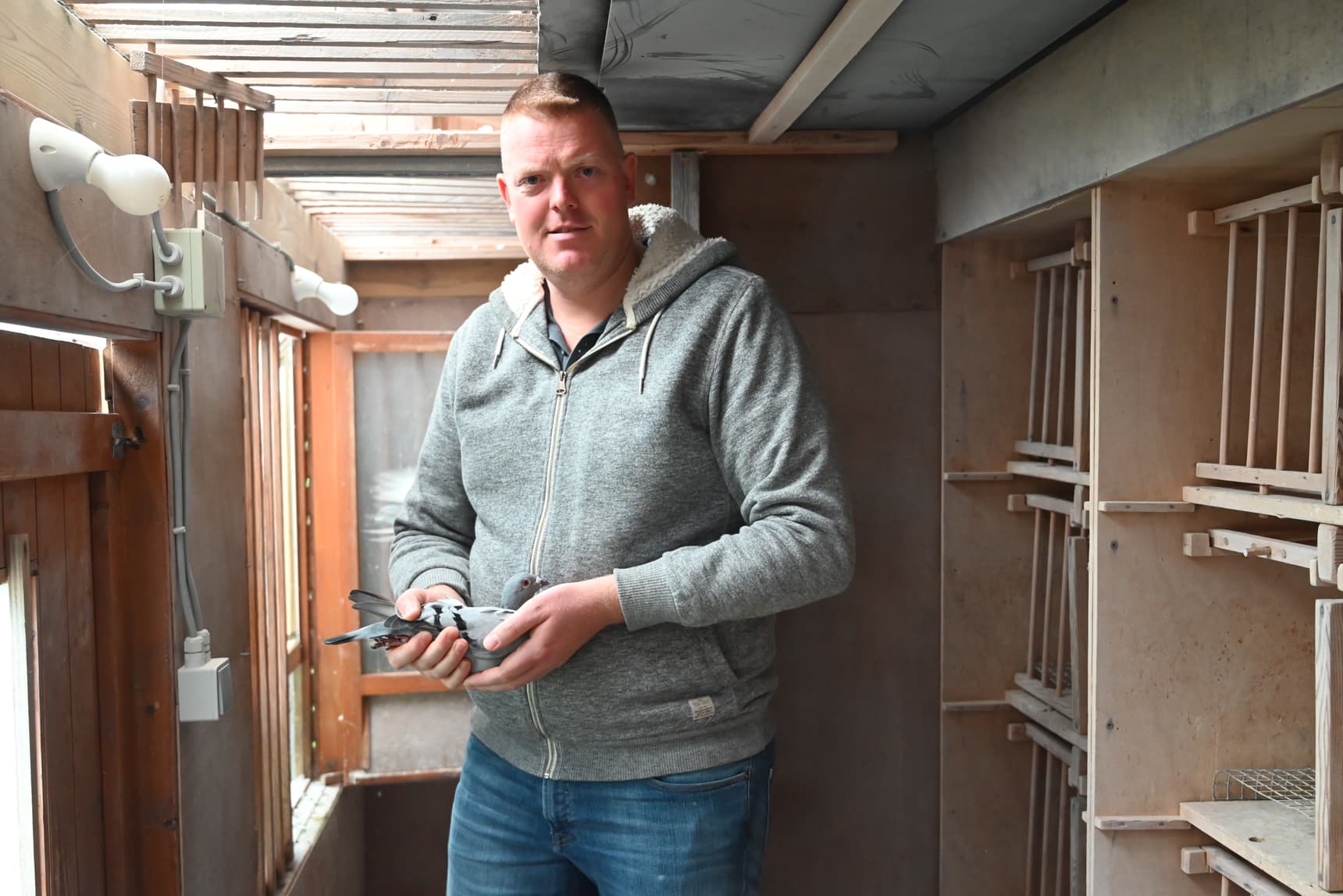 Pigeon Bids Van Gastel Kevin - Brecht - Part IV