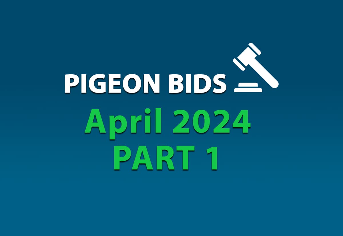 Pigeon Bids April 2024 - Part 1