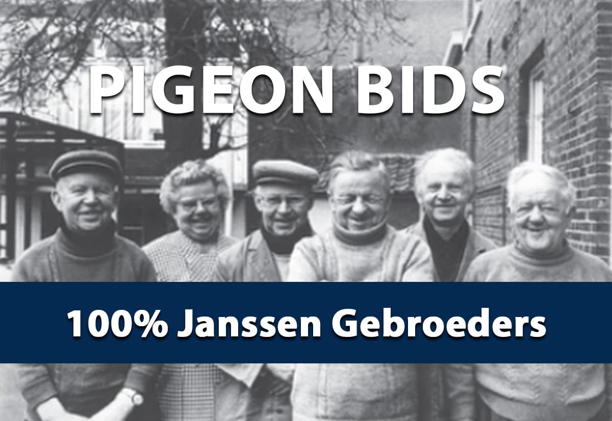 Pigeon Bids 100% Janssen Gebroeders - December 2023