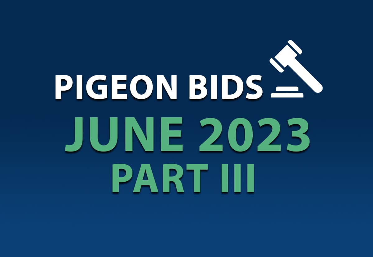 Pigeon Bids June 2023 Part III