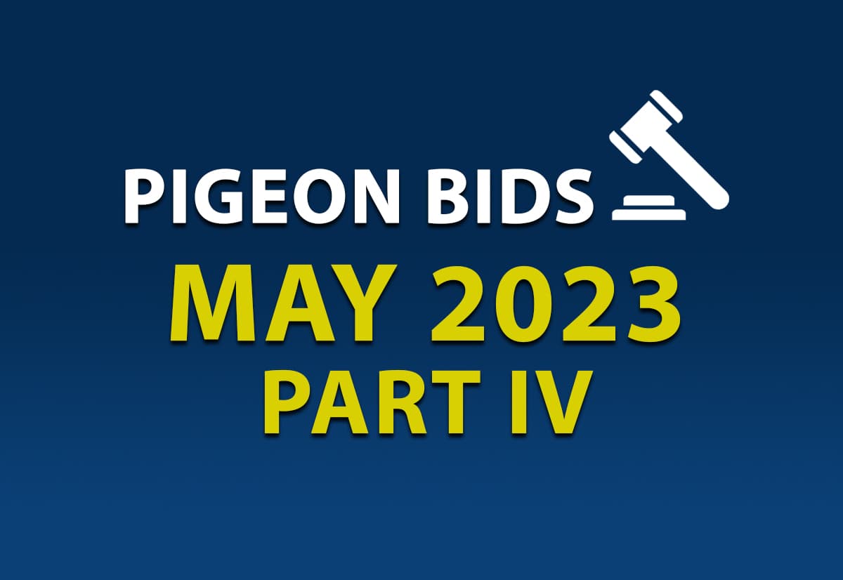 Pigeon Bids May IV