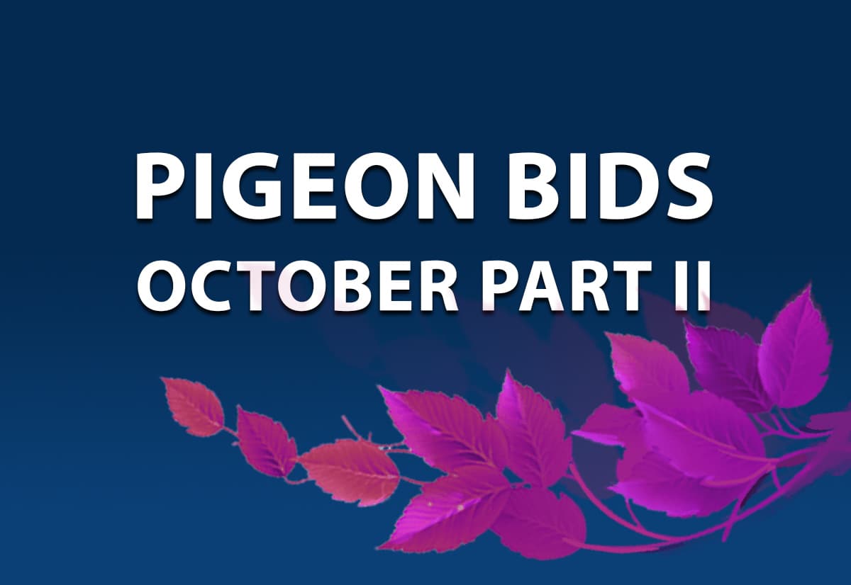 Pigeon Bids Oktober II
