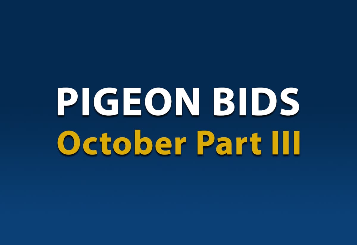 Pigeon Bids October III