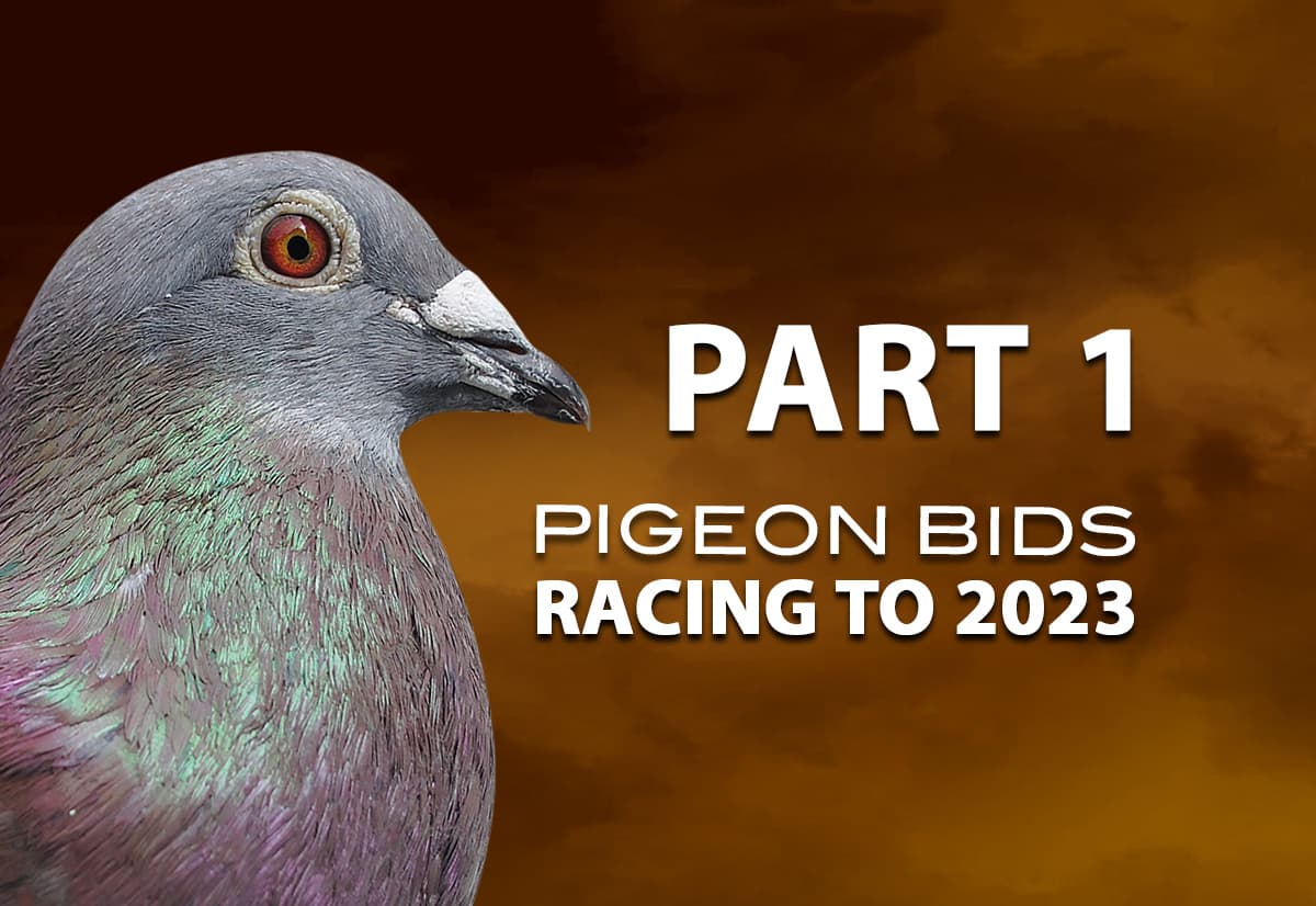 Pigeon Bids Racing to 2023 - Part I