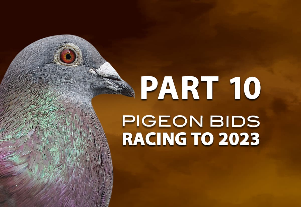 Pigeon Bids Racing to 2023 - Part 10