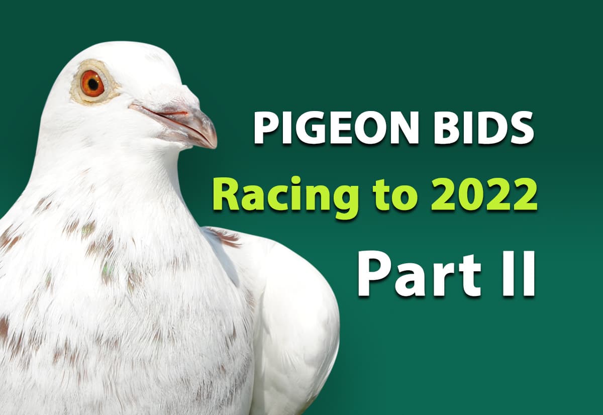 Pigeon Bids Racing to 2022 - Part II
