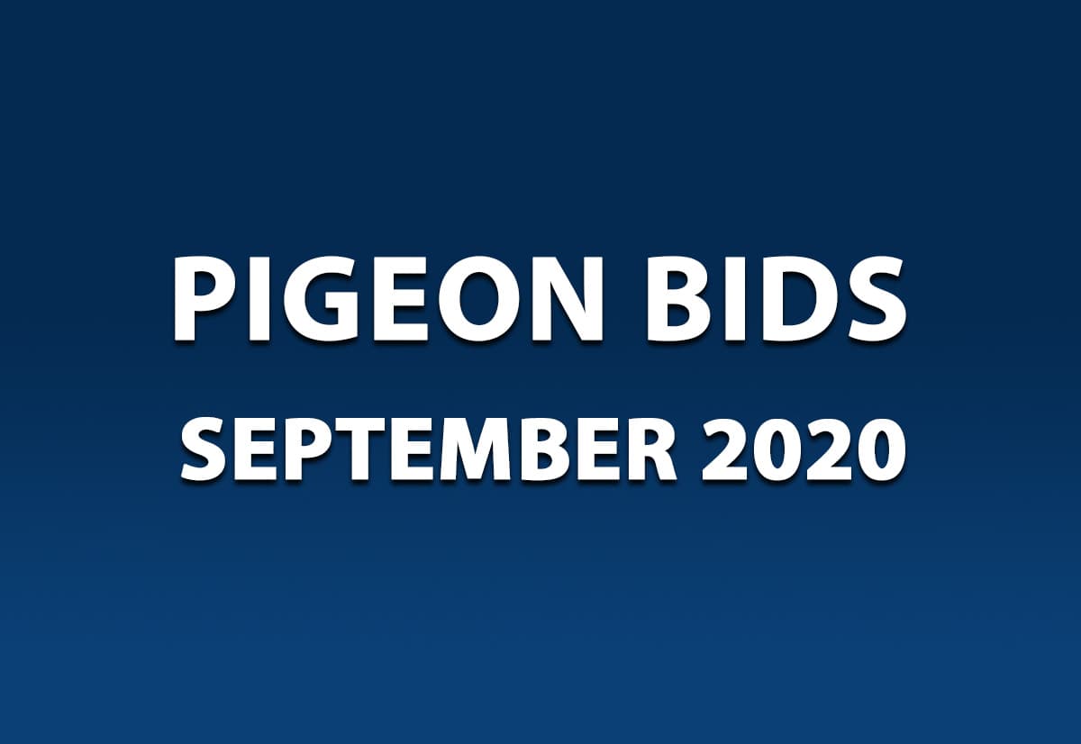 Pigeon Bids September 2020