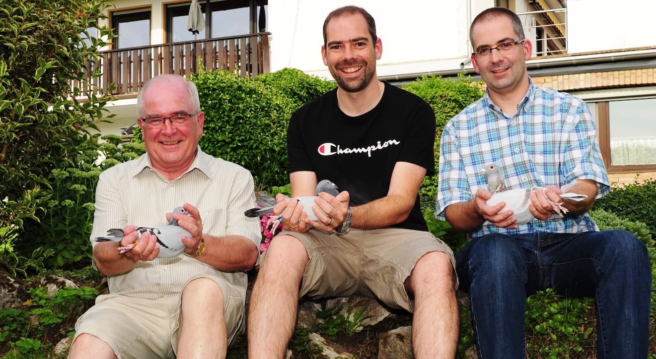 KERSTING-tauben.de .