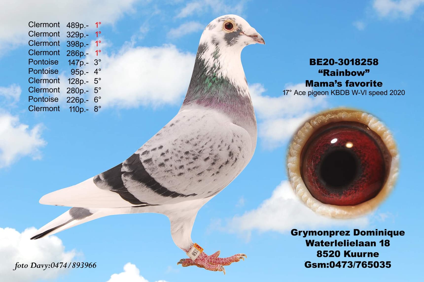 Dominique Grymonprez