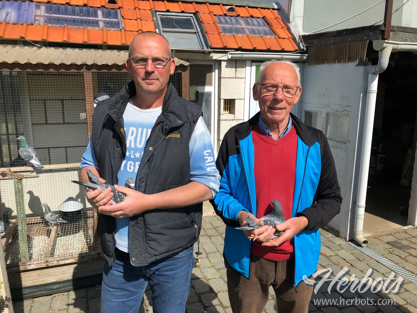 马里斯.法兰斯&迪克(Frans & Dirk Maris) - 绝世“马克西” 血系