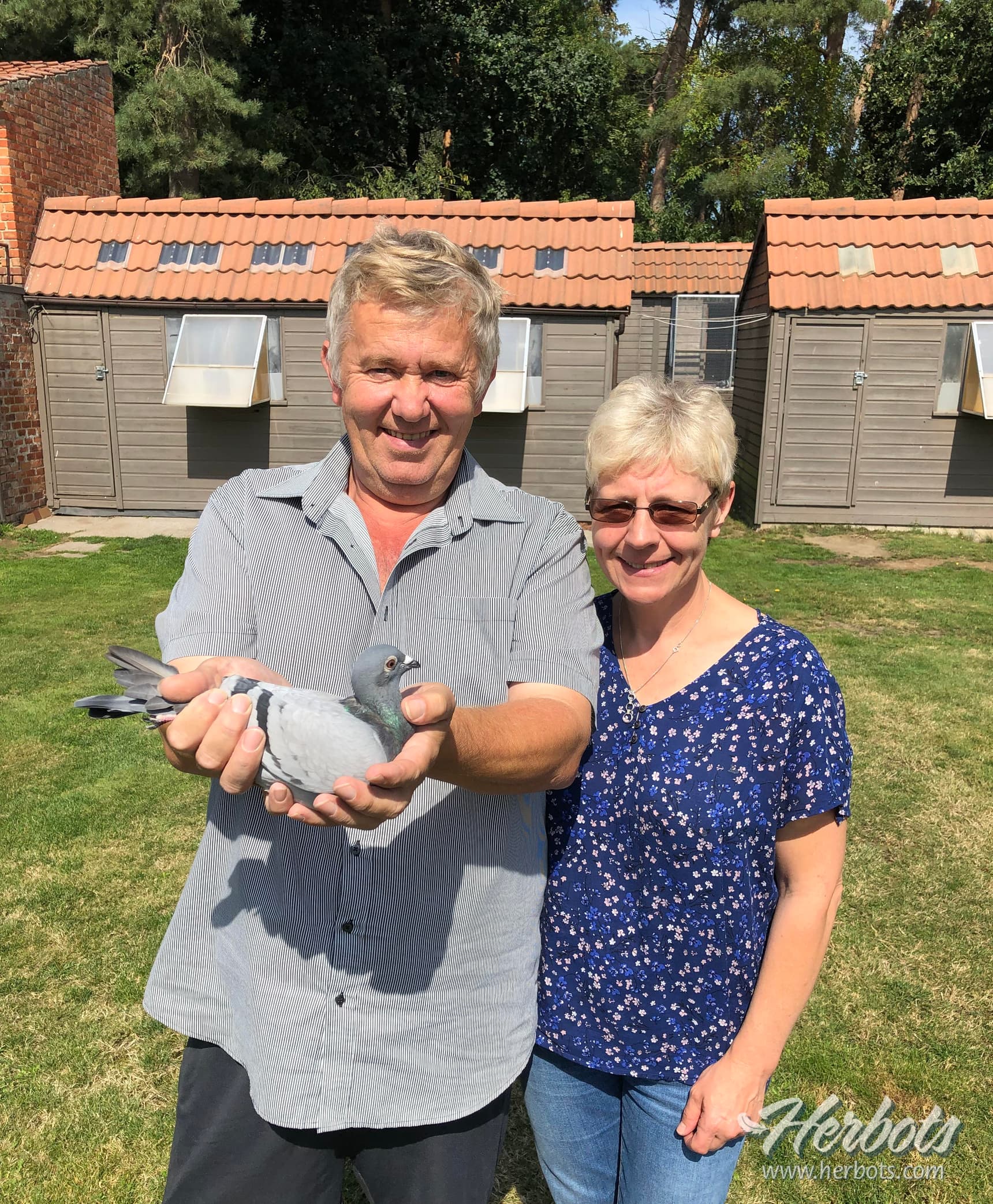 Patrick Vervloesem from Rijmenam wins 1st Provincial Vierzon 3,489 young pigeons