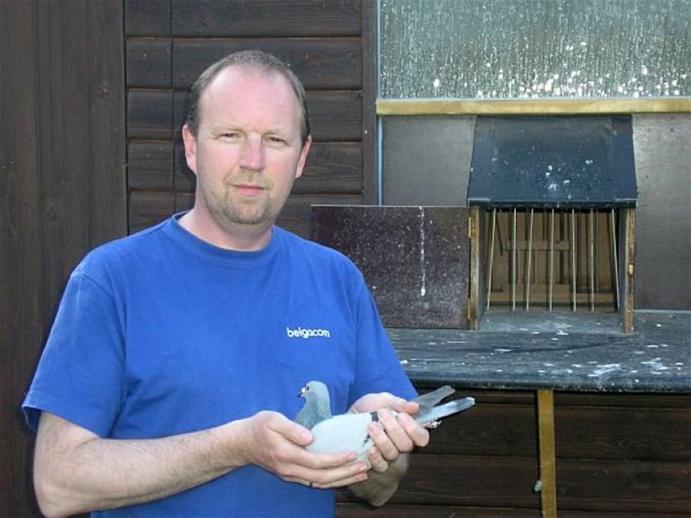 约翰.狄贝塞网络限时拍卖会第一部分