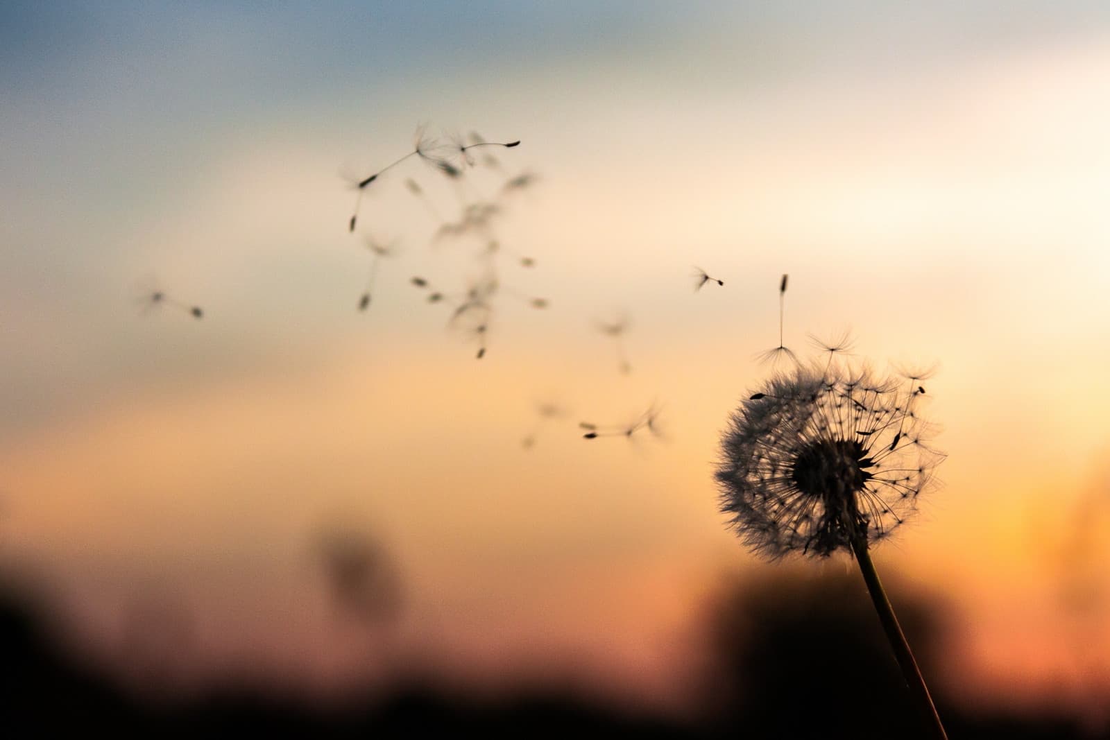 Wij vernamen het overlijden van Ignace Jacques