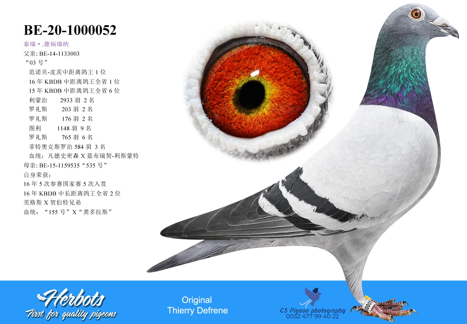 pigeon: undefined