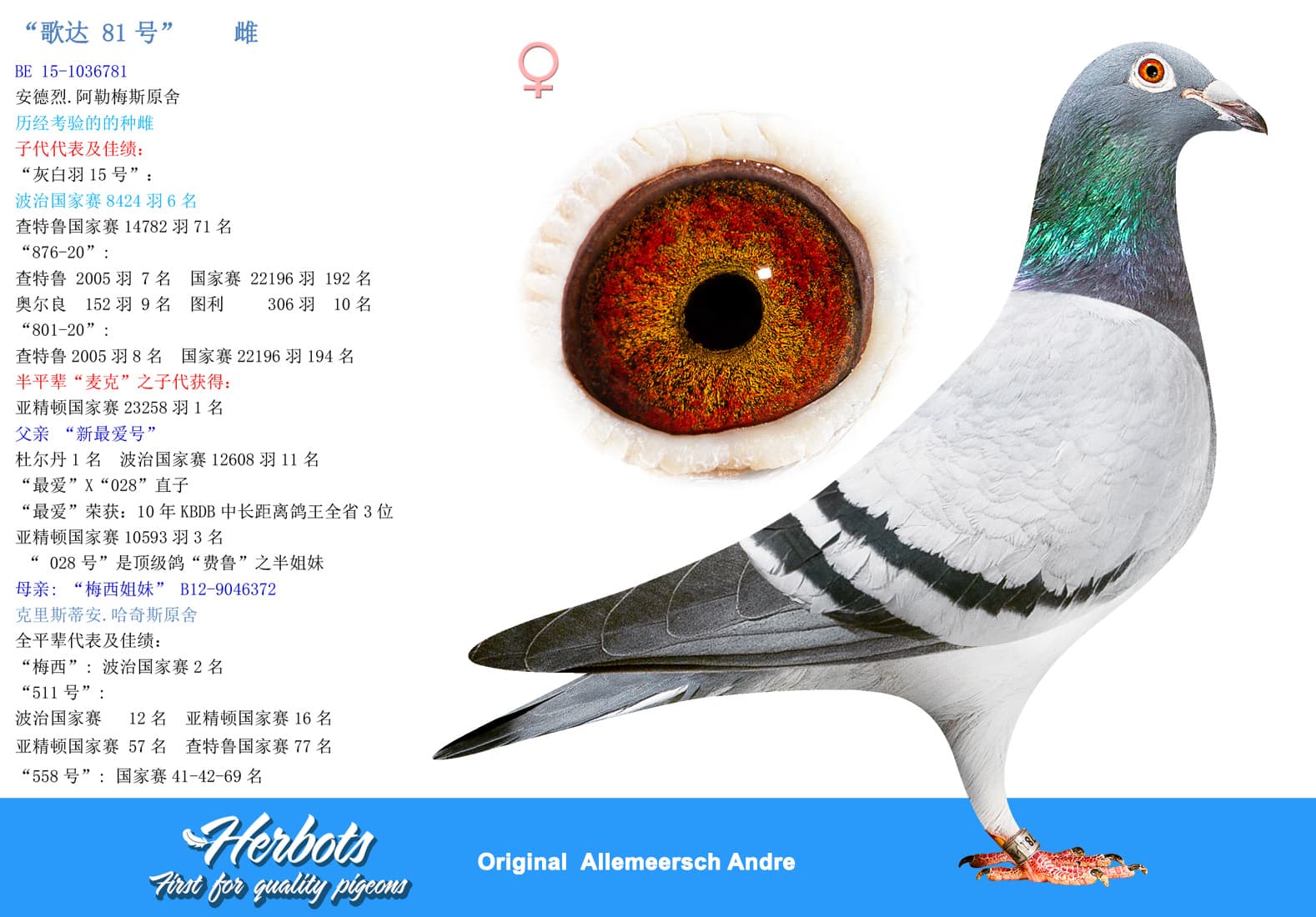 pigeon: undefined