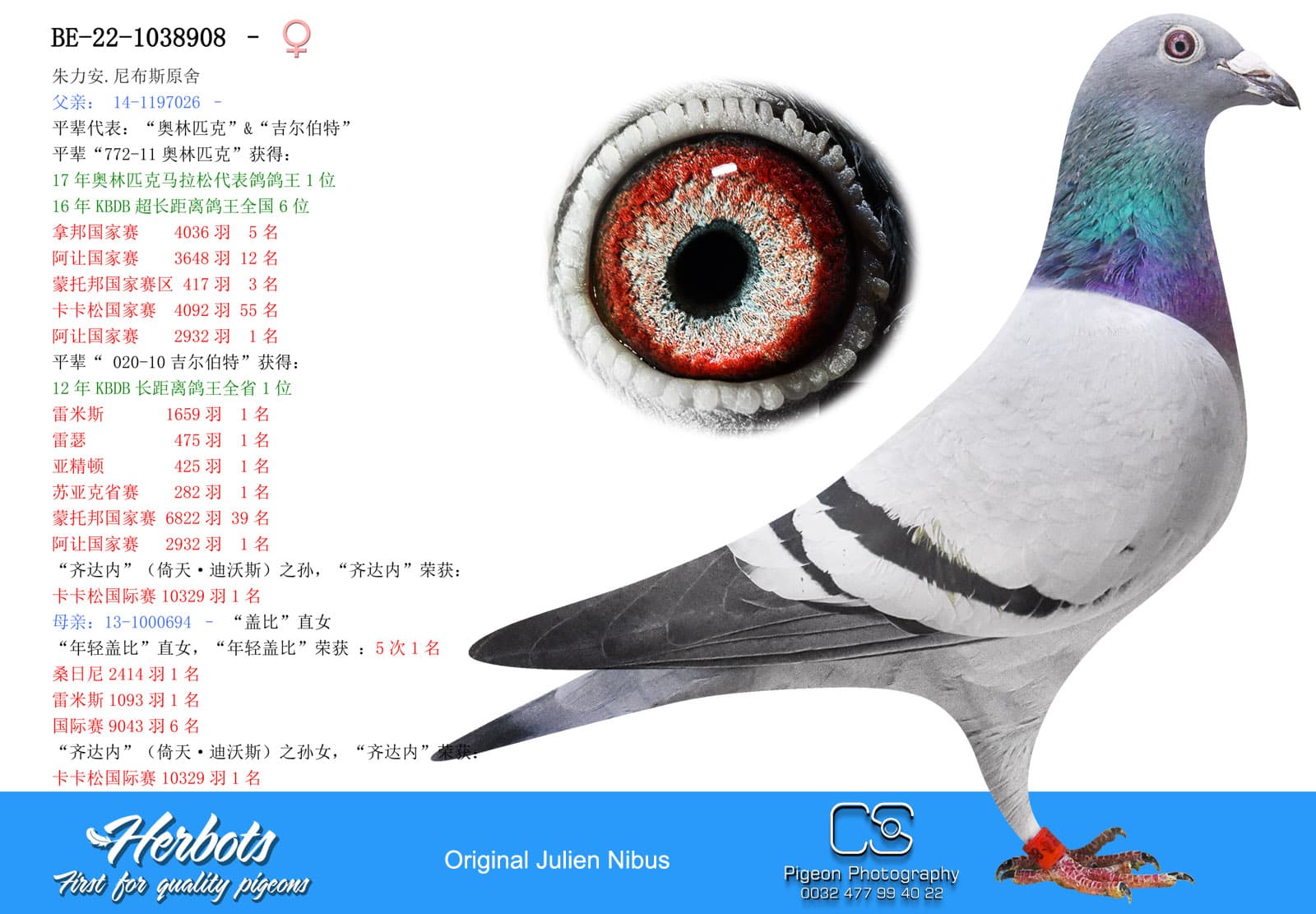 pigeon: undefined