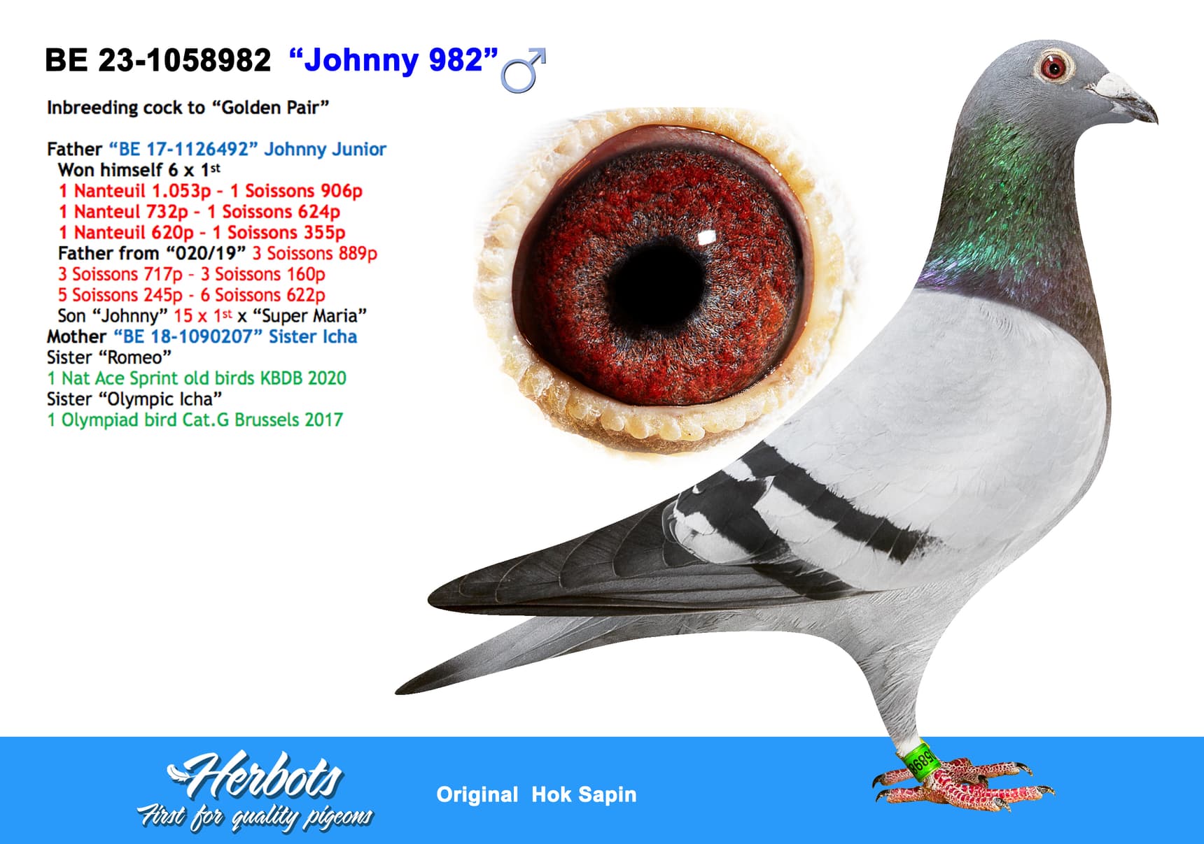 pigeon: “Johnny 982”