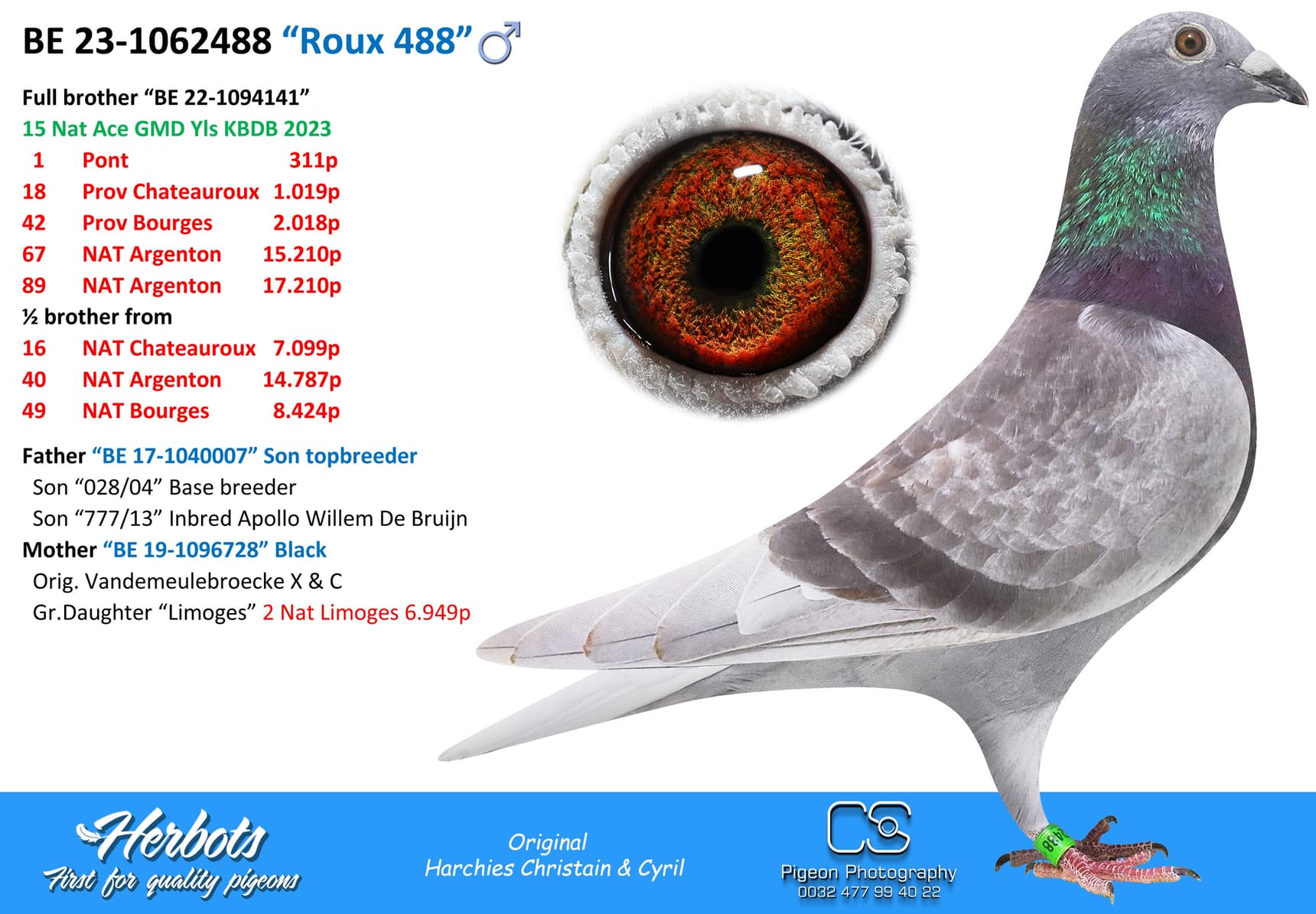 pigeon: “Roux 488”