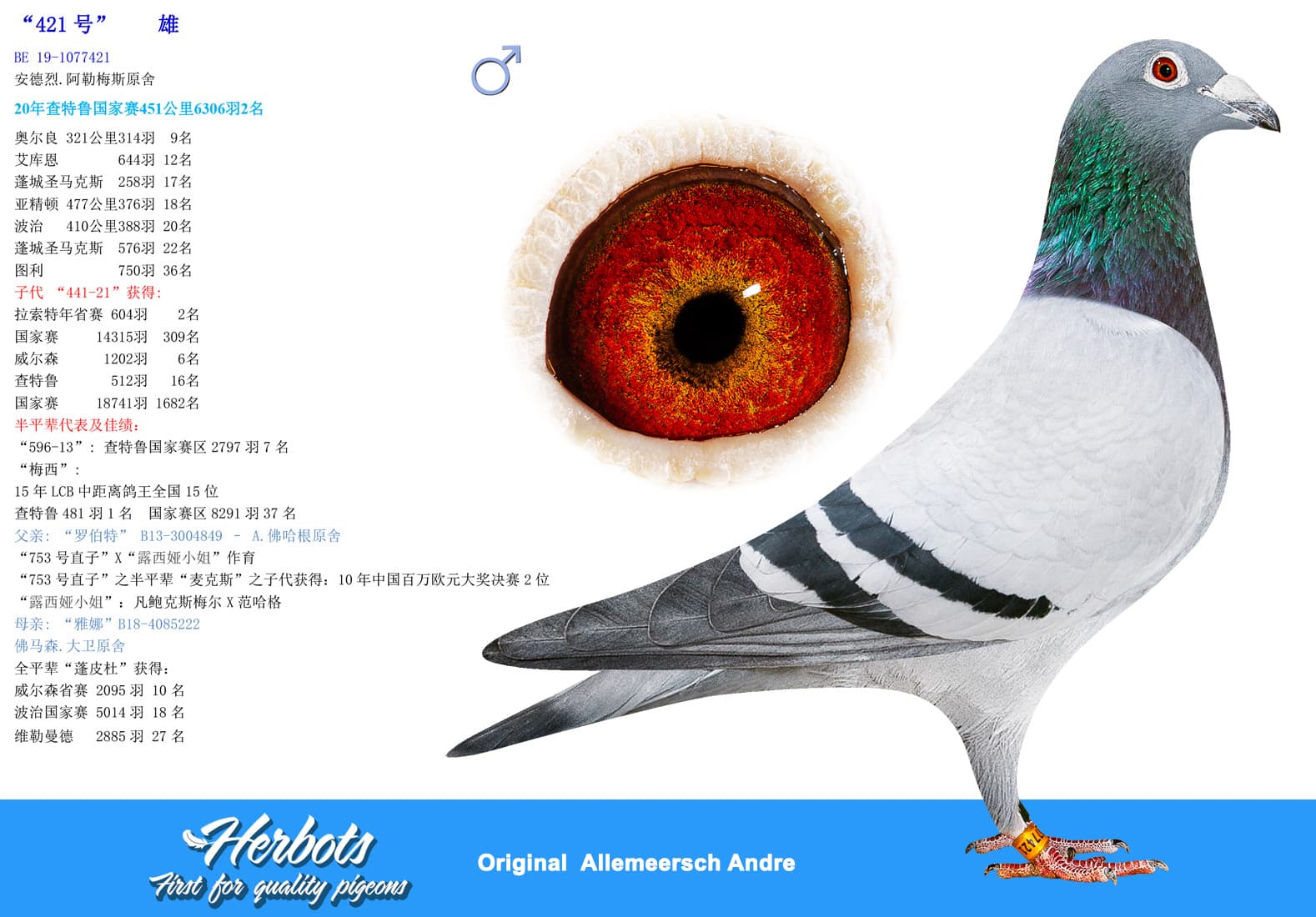 pigeon: undefined