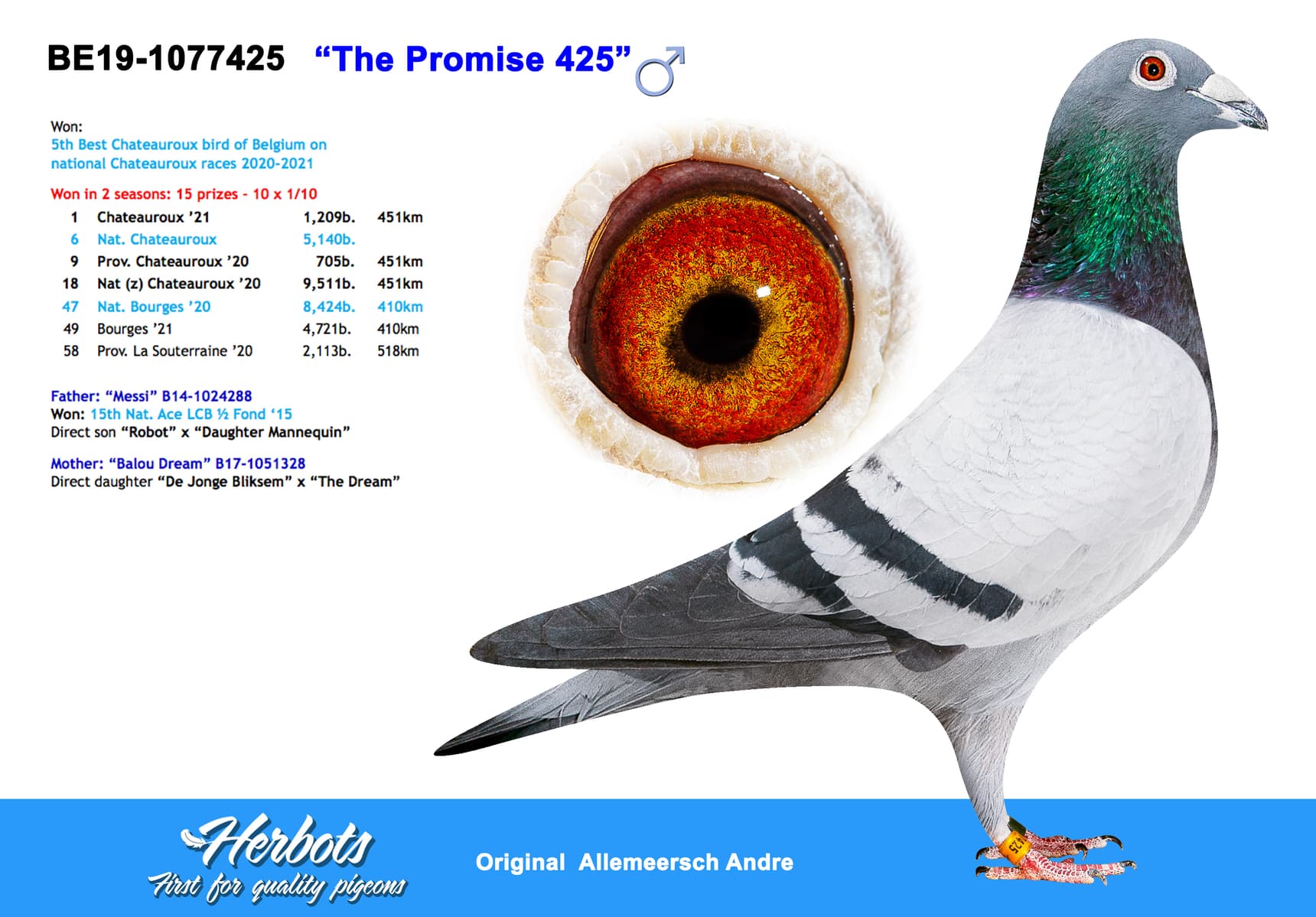pigeon: “The Promise 425”