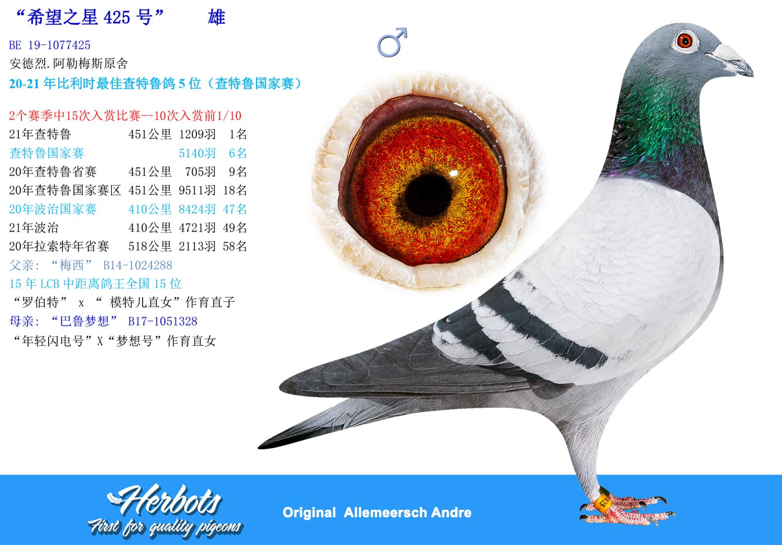 pigeon: undefined