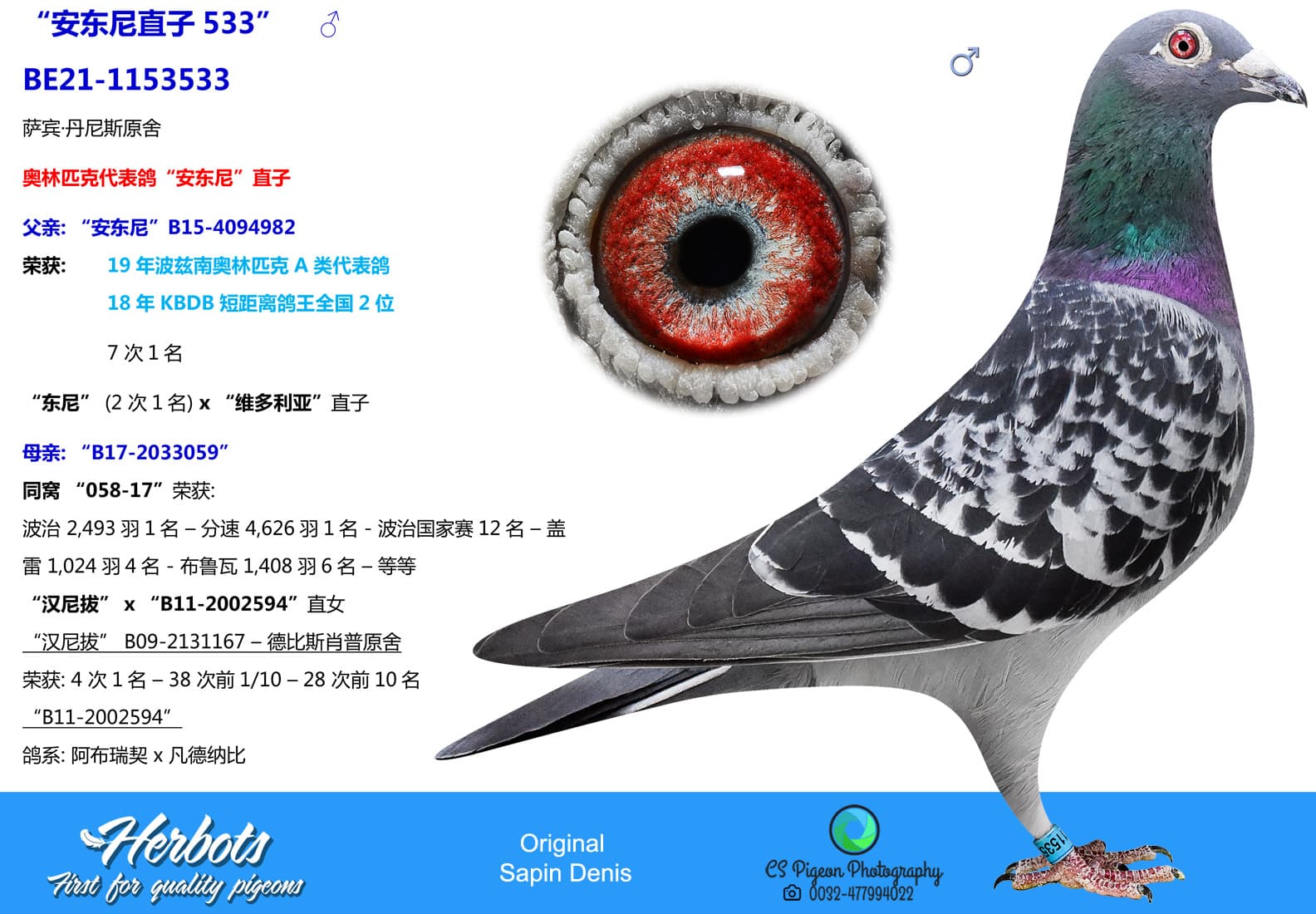pigeon: undefined