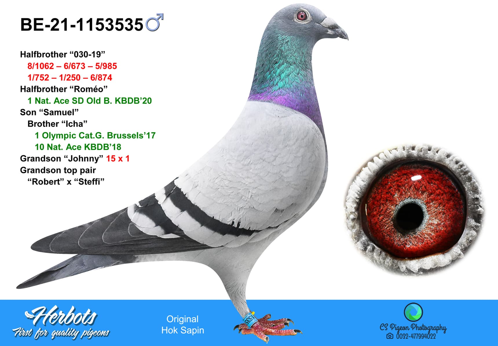 pigeon: undefined