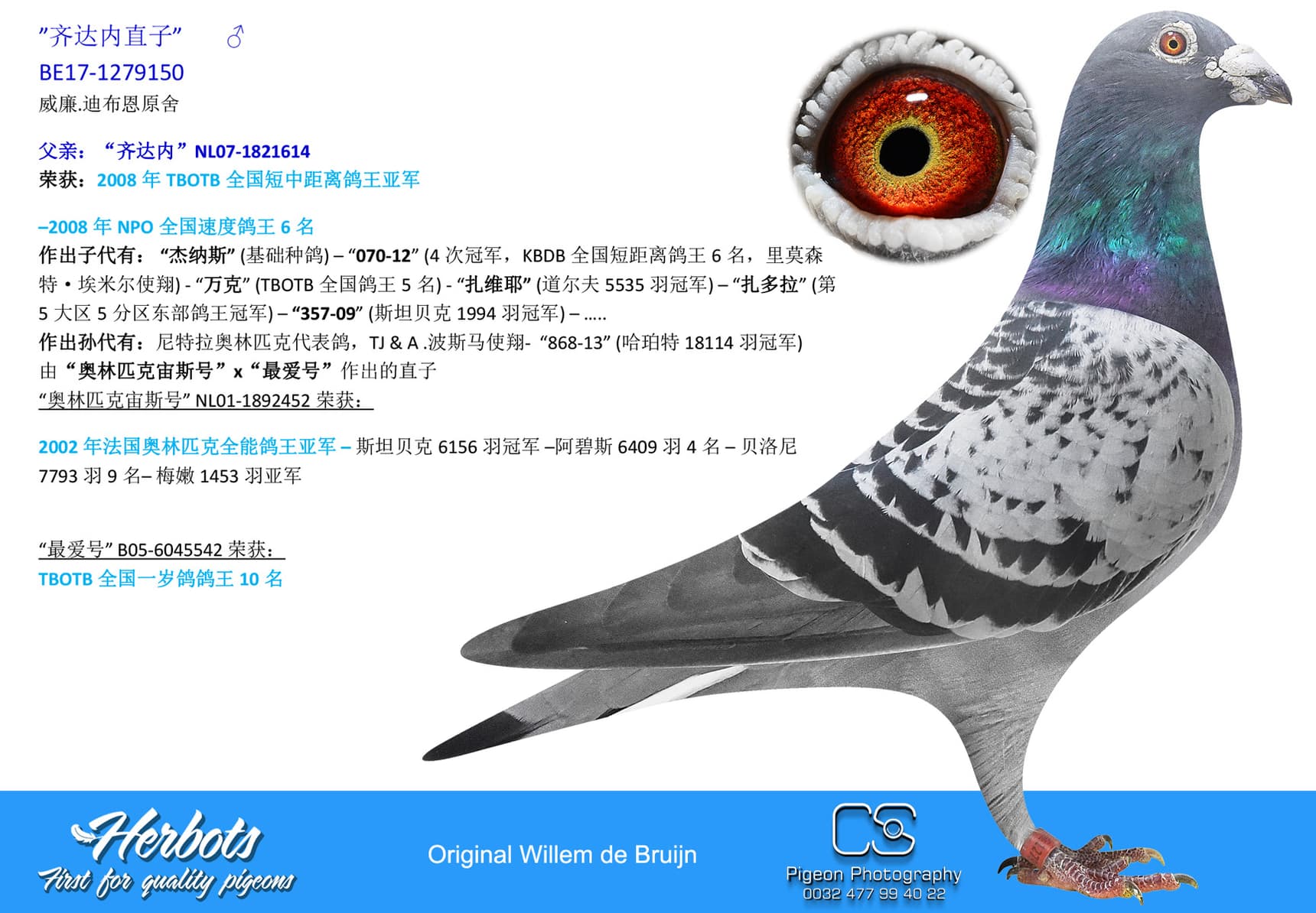 pigeon: undefined