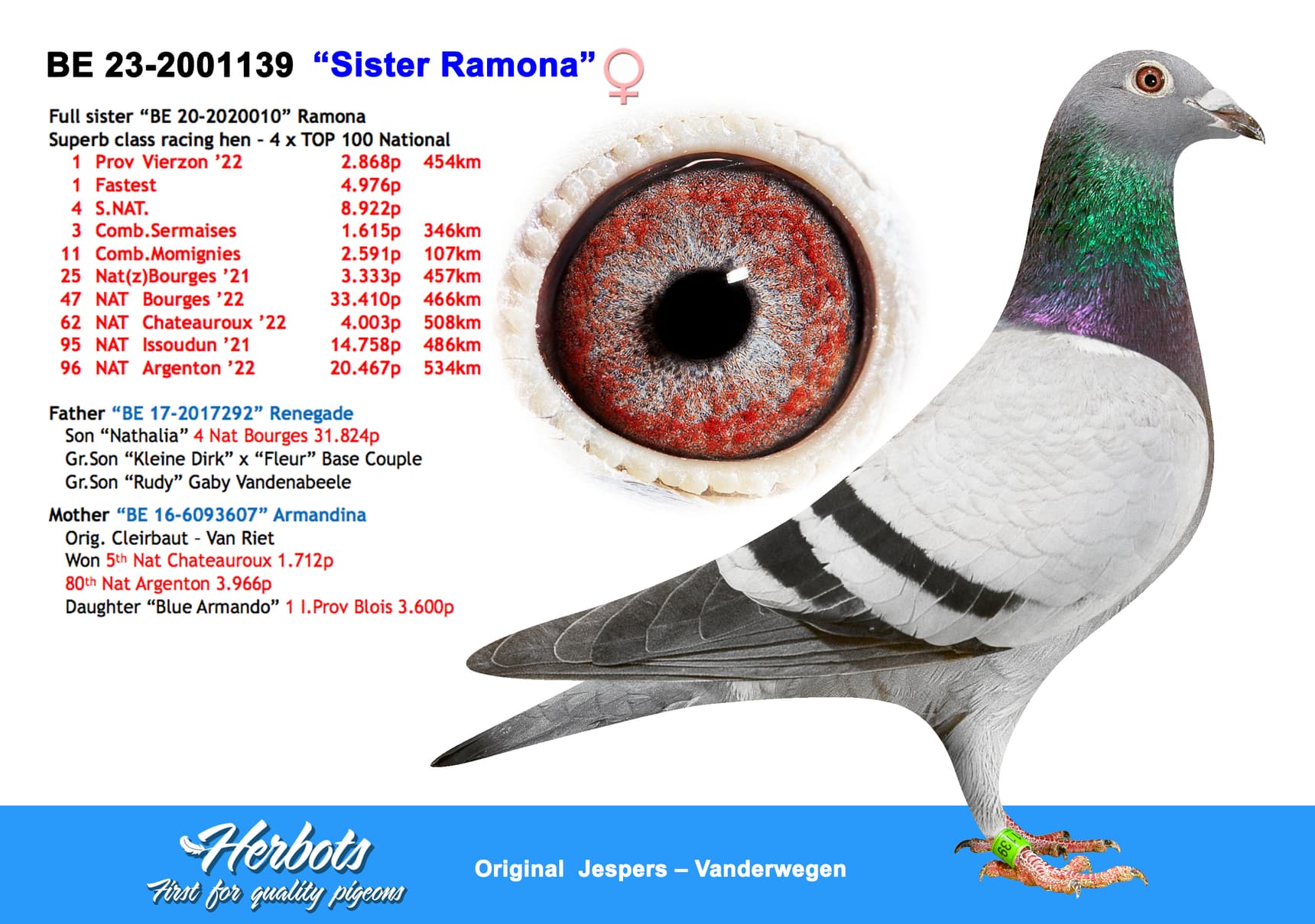 pigeon: “Sister Ramona”