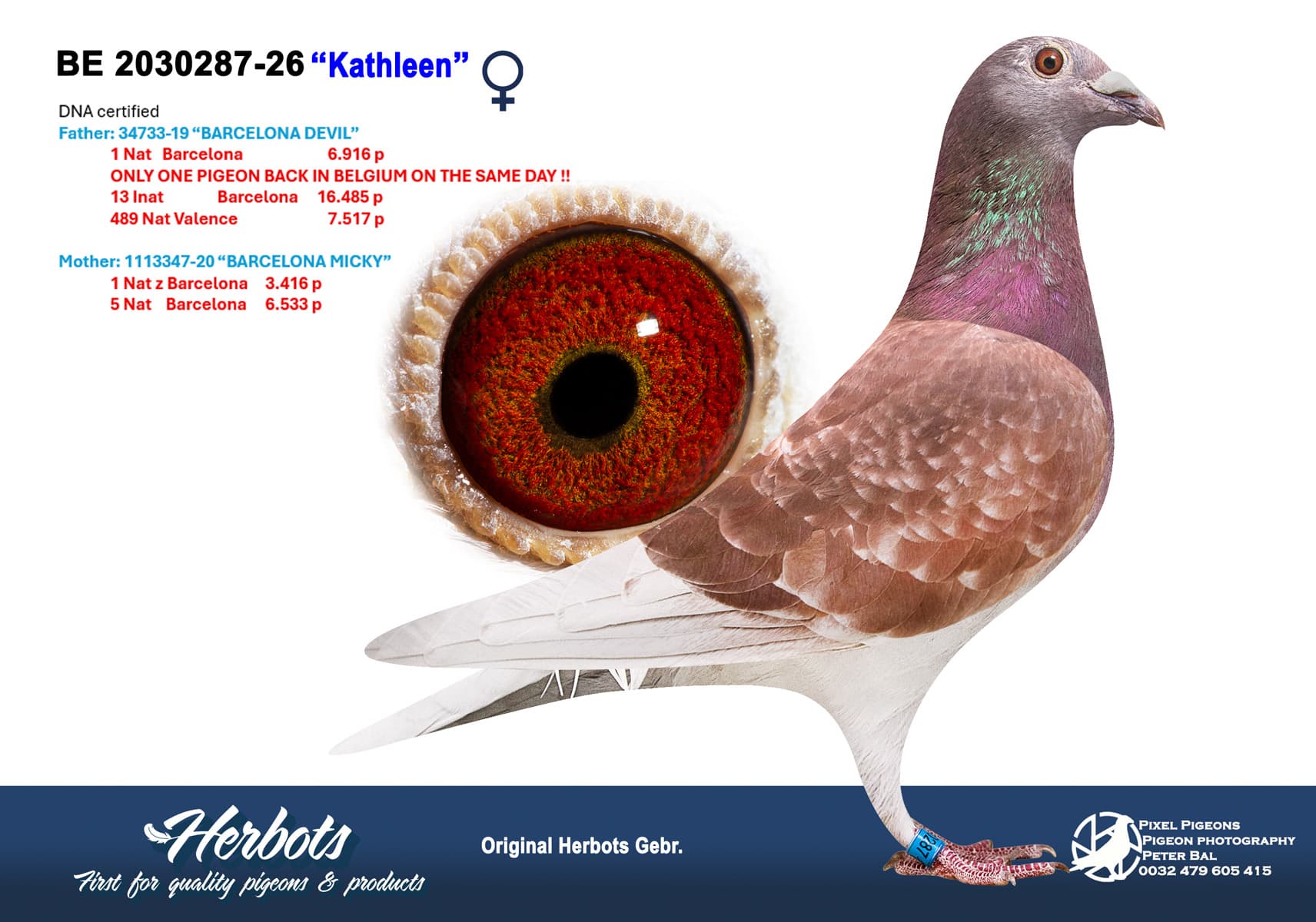“Kathleen”