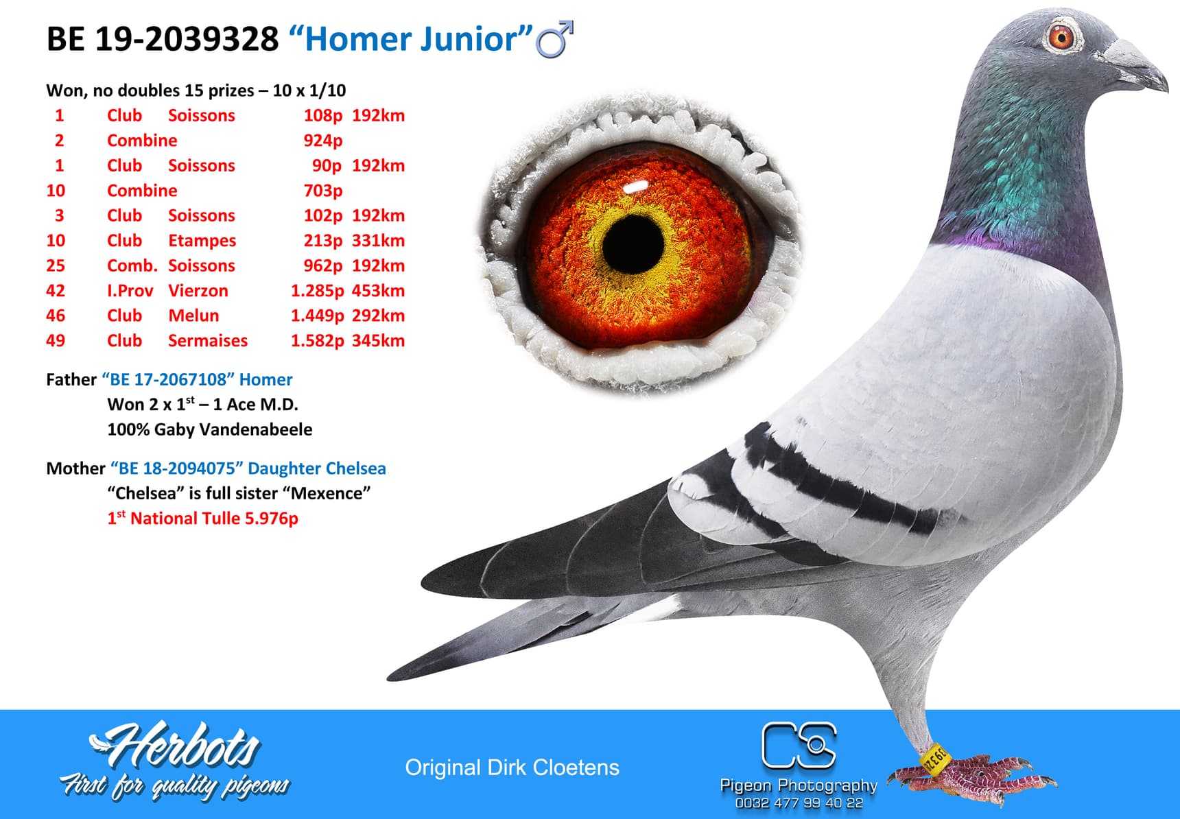 pigeon: “Homer Junior”