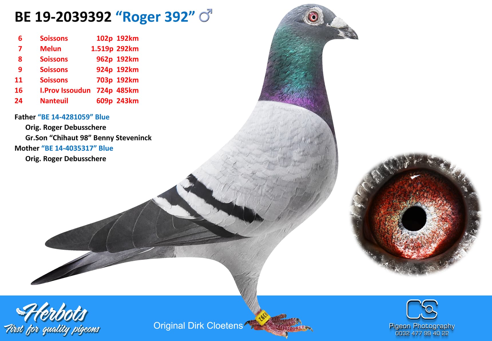 pigeon: undefined