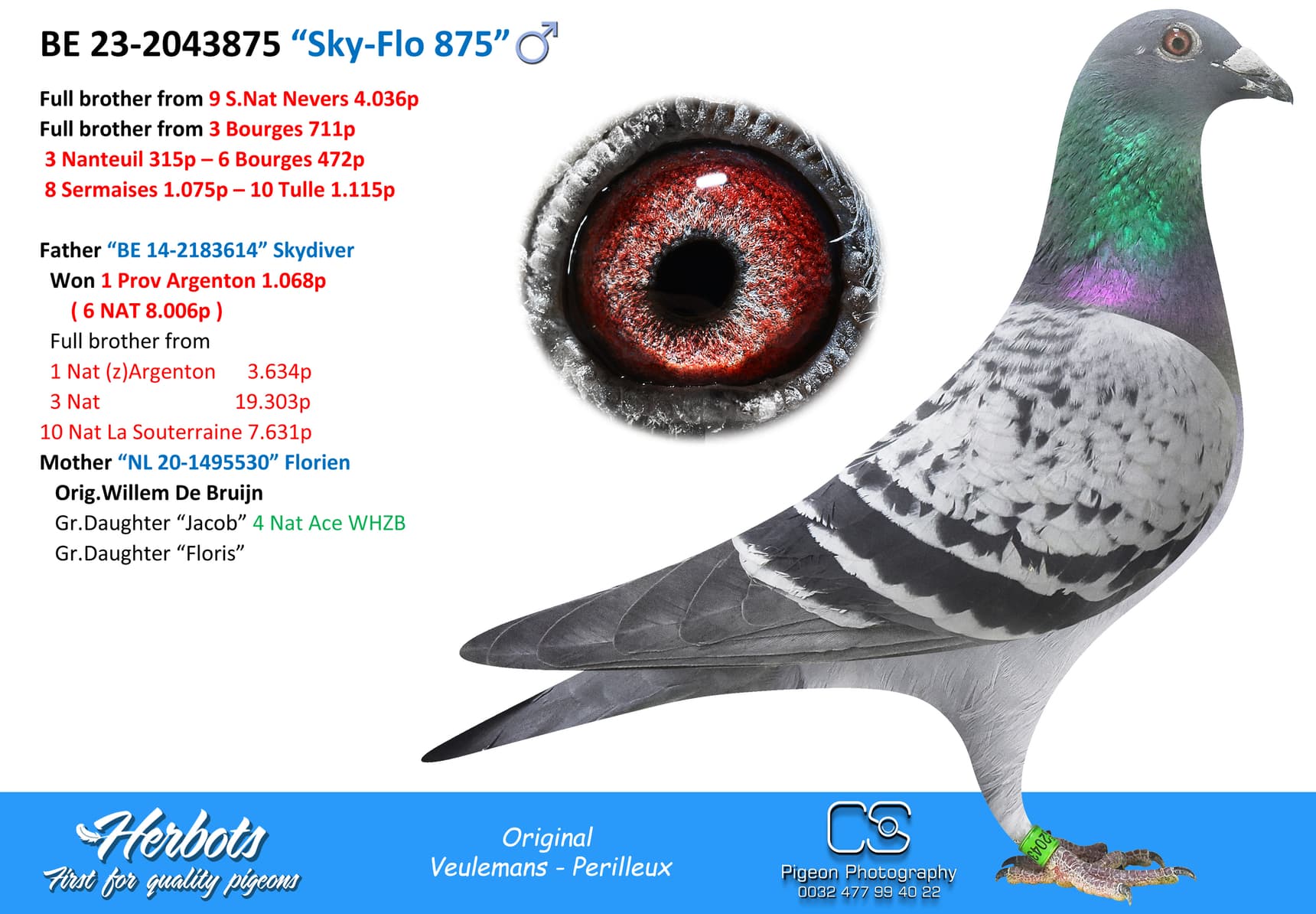 pigeon: “Sky-Flo 875”