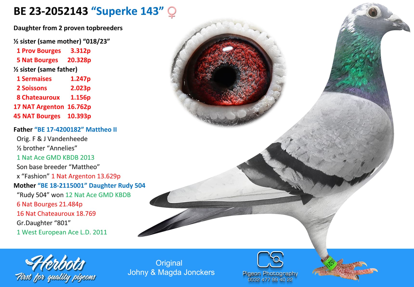 pigeon: “Superke 143”