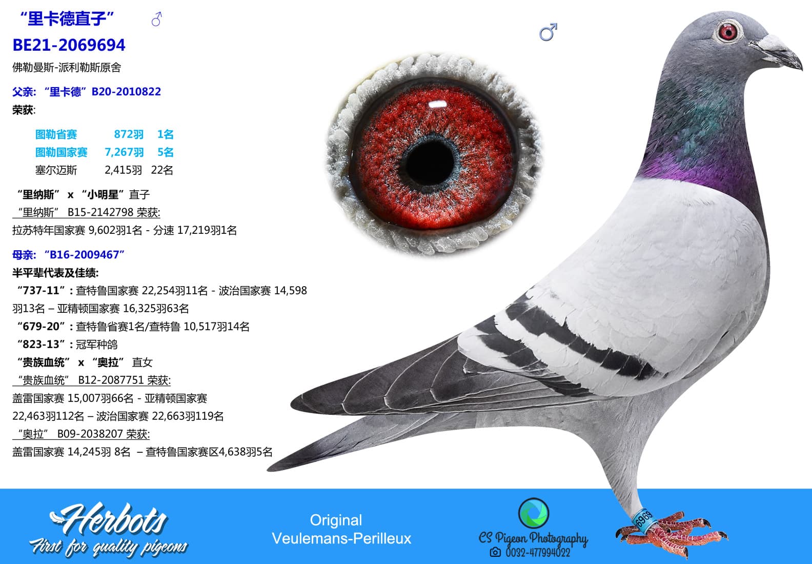 pigeon: undefined