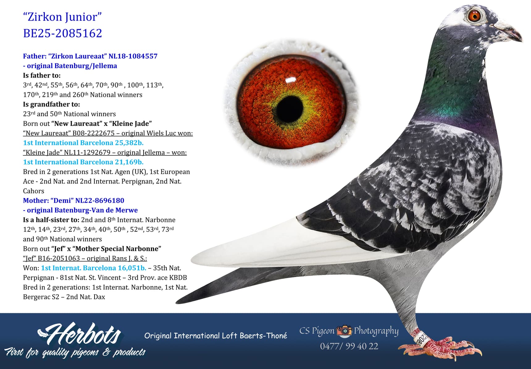 pigeon: undefined