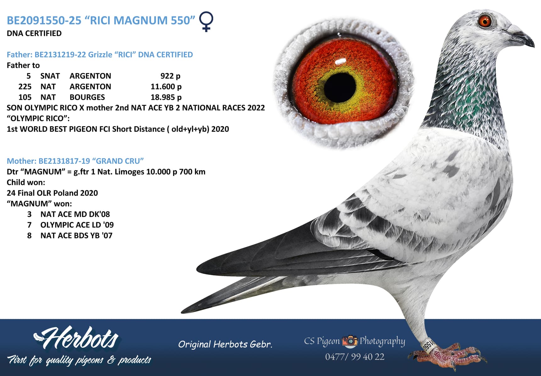 “RICI MAGNUM 550”