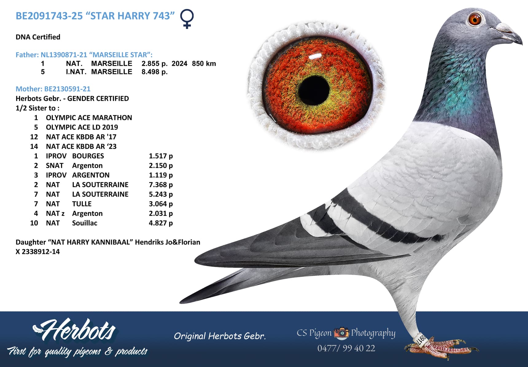 “STAR HARRY 743”