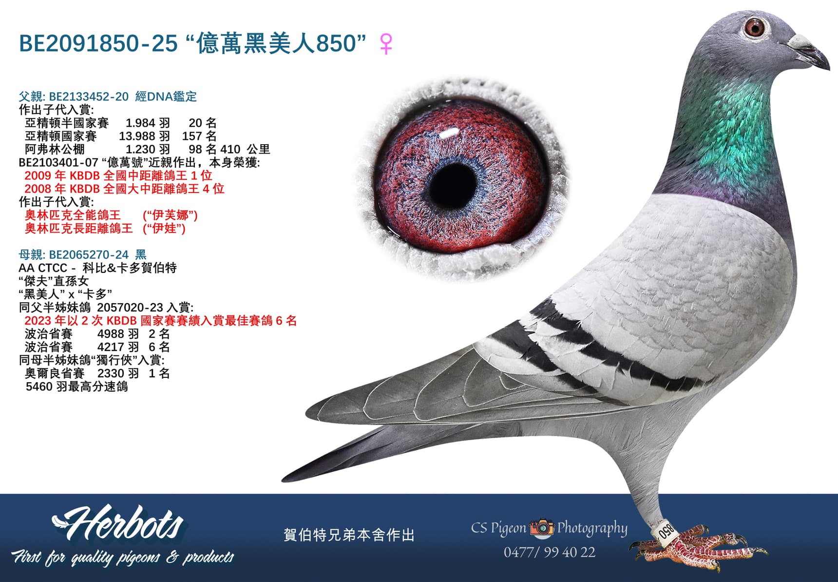 “億萬黑美人850”